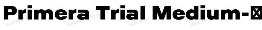 Primera Trial Medium字体转换